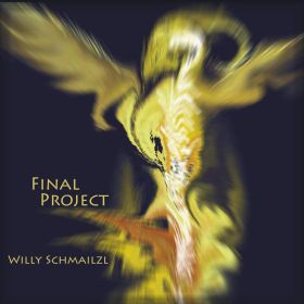 Willy Schmailzl - Final Project